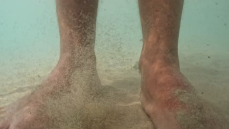 Slow-motion-underwater-pov-of-small-hungry-fish-eating-human-legs-and-feet-skin-in-seawater