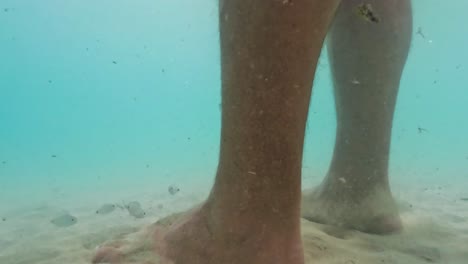Einzigartige-Unterwasseraufnahmen-In-Zeitlupe-Von-Kleinen-Fischen,-Die-Menschliche-Bein--Und-Fußhaut-Im-Meerwasser-Fressen