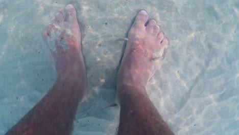 Unusual-slow-motion-underwater-footage-of-tiny-fish-eating-human-legs-and-feet-skin-in-clear-sea-water