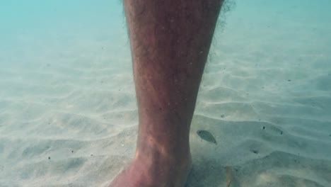 Unterwasser-POV-In-Zeitlupe-Von-Winzigen-Fischen,-Die-Menschliche-Beine-Und-Füße-Im-Meerwasser-Schälen