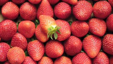 Panning-shot-of-ripe-strawberries-in-the-box