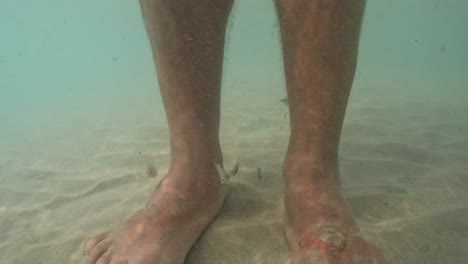 Slow-motion-underwater-pov-of-small-hungry-fish-attacking-and-eating-human-legs-and-feet-skin-in-clear-seawater