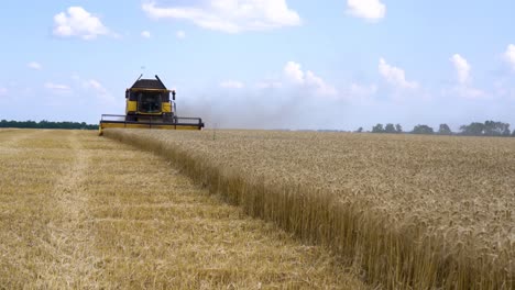 A-combine-harvester-harvests-wheat-crops-fields-during-the-summer-in-Ukraine