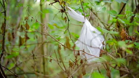 Plastic-bag-stuck-in-a-tree-in-a-green-forest,-littering-in-nature