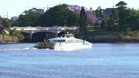 Citycat-double-decker-ferry-sailing-across-the-river-capturing-canning-bridge-at-norman-park-and-its-surrounding-residential-neighborhood-with-riverfront-houses