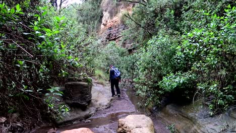 Wide-view-of-tourist-explorer-hiking-in-Hells-gate-National-Park,-crosses-stream