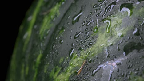 Wassertropfen,-Die-Die-Grüne-Wassermelone-Hinunterrutschen
