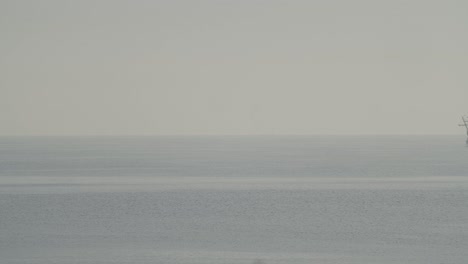 Ferdinand-Magellan-Nao-Victoria-Carrack-Bootsreplik-Segelt-Im-Mittelmeer-Mit-Einem-Vogel,-Der-Bei-Sonnenaufgang-In-Ruhigem-Meer-Vorbeifliegt-Und-In-Zeitlupe-60-Fps-In-Den-Rahmen-Eintritt