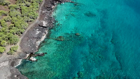 crystal-clear-blue-water-off-black-sand-beach-on-big-island-hawaii
