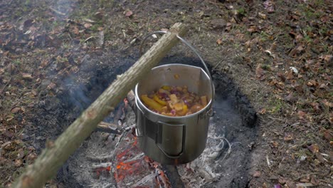 Cooking-food-over-a-fire-in-the-forest,-Static-Shot