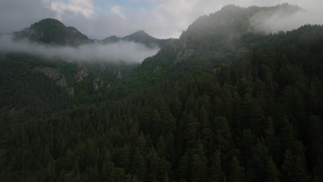 Nubes-Sobre-El-Bosque-De-Coníferas-En-La-Reserva-Natural-De-Borjomi,-Samtskhe-javakheti,-Georgia