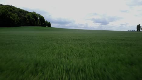 Aerial-footage-of-Drone-speeding-at-low-altitude-over-a-green-field-in-a-rural-area-of-eastern-Germany-with-clouds