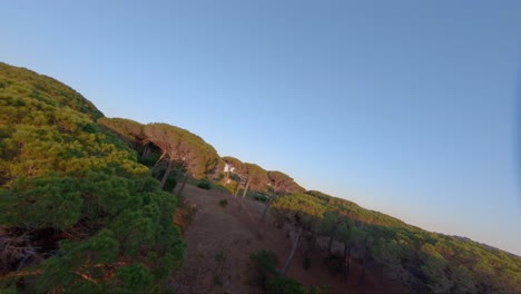 Aerial-over-some-beautiful-tree-tops-and-huge-real-estate-villa-in-st-Tropez,-France