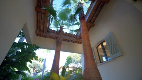 Panning-downward-shot-of-decorative-palm-trees-at-the-front-door
