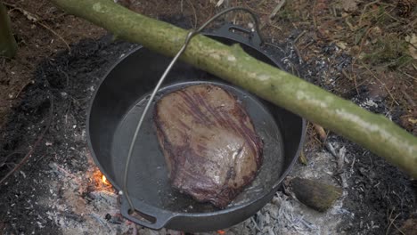 Slow-mo-cooking-beef-in-the-forest-with-primitive-set-up,-Circular-Motion