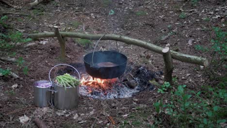 Slow-mo-bushcraft-cooking-in-nature-using-a-fire,-Handheld