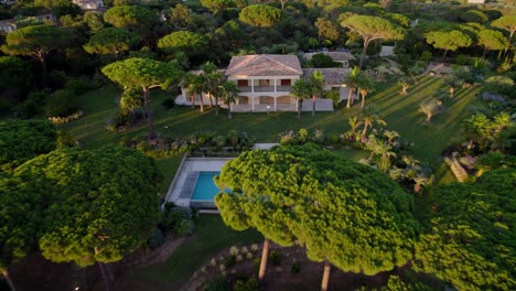 Aerial-backwards-shot-of-luxury-man-entering-luxury-villa-with-swimming-pool-surrounded-by-pine-tree-plantation-at-sunset