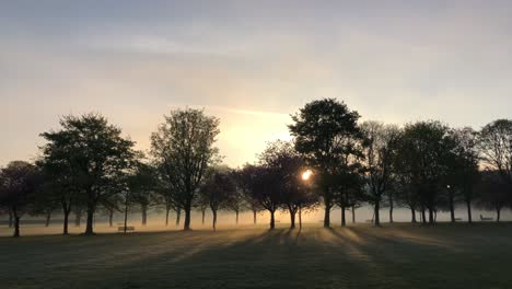 An-incredible-sunrise-through-trees-on-a-misty-morning-|-Edinburgh,-Scotland-|-HD,-24fps
