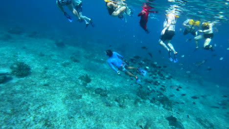 Filmische-Unterwasseransicht-Eines-Tauchers,-Gefolgt-Von-Einem-Fischschwarm-|-Fische,-Die-Einer-Person-Unter-Wasser-Folgen-|-Menschen-Schnorcheln-Und-Schwimmen-Türkis-Unter-Wasser-Mit-Freiem-Blick-Auf-Das-Korallenriff-Im-Meer