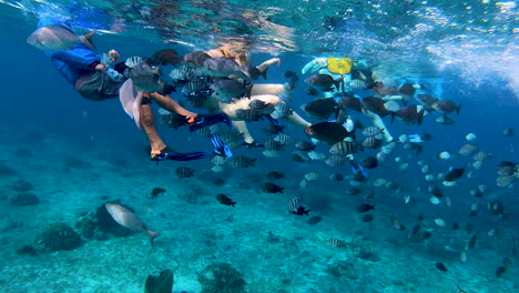 Fische,-Die-Einer-Person-Unter-Wasser-Folgen-|-Menschen-Schnorcheln-Und-Schwimmen-Türkis-Unter-Wasser-Mit-Freiem-Blick-Auf-Das-Korallenriff-Im-Meer-|-Filmische-Unterwasseransicht-Eines-Tauchers,-Gefolgt-Von-Einem-Fischschwarm