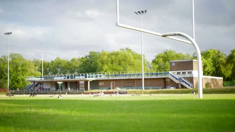 Empty-rugby-and-football-pitch-in-an-abandoned-small-stadium-invaded-by-ducks,-geese-and-wildlife,-emptiness-scene