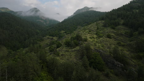 Flight-On-Conifer-Woods-And-Mountains-In-Borjomi-Nature-Reserve,-Georgia