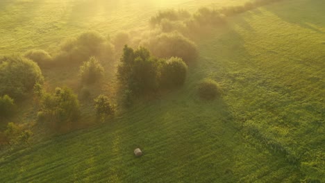 Foggy-morning,-summer-landscape-in-Lithuania-countryside