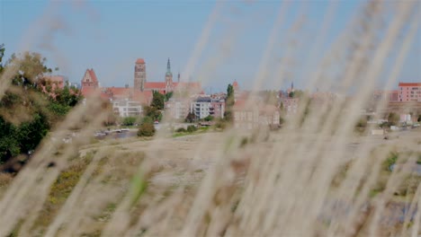 Waving-grass-in-foreground-and-beautiful-skyline-of-Gdansk-in-background-during-windy-summer-day