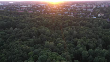 City-park-in-Kaunas,-Lithuania