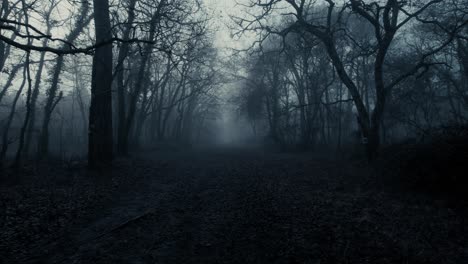 Scary-misty-forest-scene-with-bare-trees-in-silhouette-and-a-leafy-path