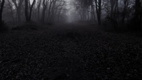 Forest-pathway-on-dark-moody-misty-day-in-horror-scene,-dolly-backward-shot