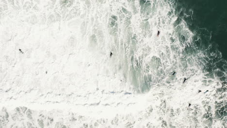 Top-down-aerial-drone-shot-of-people-surfing-and-trying-to-catch-waves-in-white-water