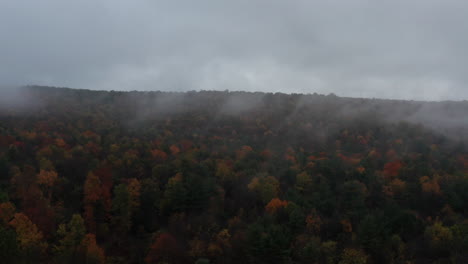 Skimming-foggy-autumn-tree-tops.-Forward-moving-shot