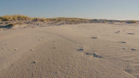 Offshore-Sand-Dunes-At-The-Beach-In-Summertime
