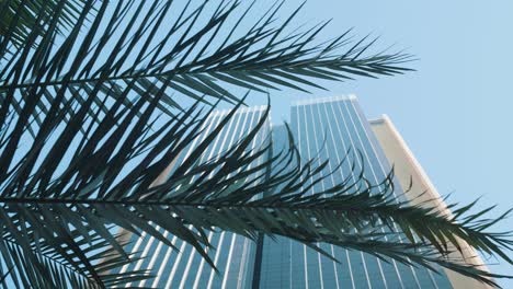 Revealing-Shot-Of-A-Skyscraper-Behind-Palm-Trees-in-Dubai