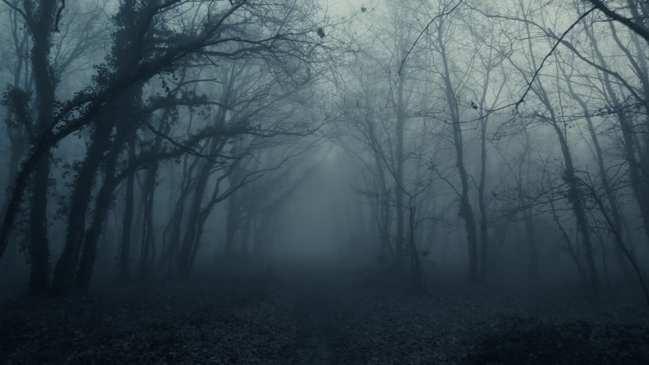 Premium stock video - Foggy dark mysterious forest pathway from horror ...