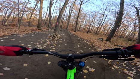 mtb-pov-riding-jumps-in-fall-trail-forest-sunsetting