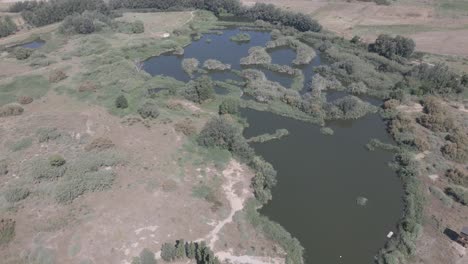 aerial-views-of-a-wetlands
