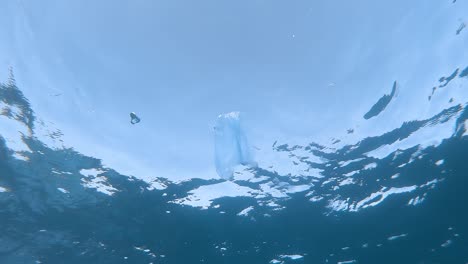 Eine-Plastiktüte,-Die-In-Der-Meeresoberfläche-Schwimmt