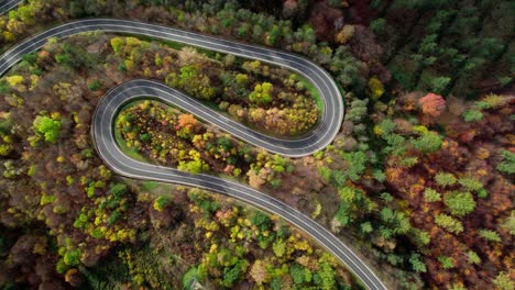 Colourful-winding-road-with-many-curves-surrounded-by-a-deciduous-woodland-with-pine-trees