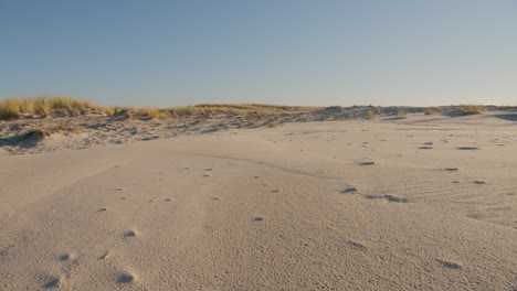 Horizontale-Ansicht-Der-Nassen-Sandlandschaft-Kurz-Nach-Dem-Regen,-Sonniger,-Strahlend-Blauer-Himmel-Am-Meer