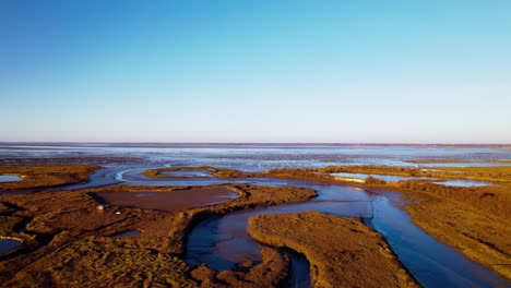 Massive-swampy-wetlands-on-beautiful-sunny-day,-aerial-drone-shot