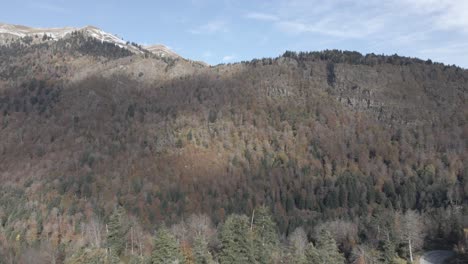 Luftbild-Aus-Einem-Pyrenäenwald
