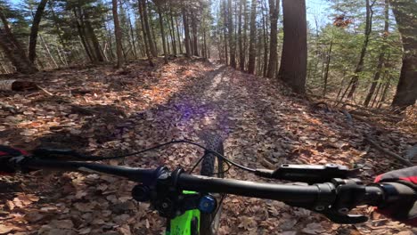 mtb-pov-casually-pedalling-along-ravine-edge-in-sunny-autumn-forest-trail