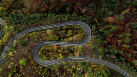 Colourful-winding-road-with-many-bends-surrounded-by-a-deciduous-forest-with-pine-trees