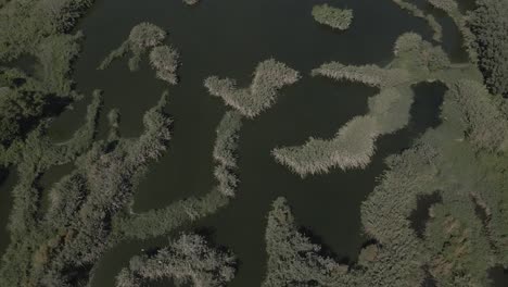 aerial-views-of-a-wetlands