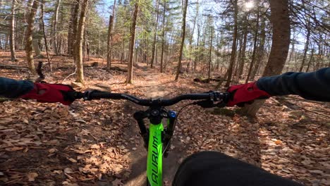 mtb-pov-sitting-down-casual-pedalling-in-sunny-forest-trail