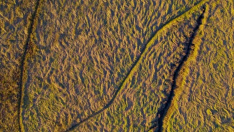 Luftaufnahme-Direkt-Von-Mustern-In-Der-Natur-In-Einem-Graslandsumpf