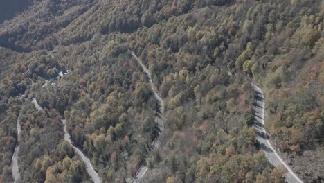 aerial-view-from-a-forest-road