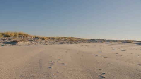 Langsamer-Dolly-Linker-Schuss-Strandsand-Mit-Küstenvegetation-Im-Hintergrund